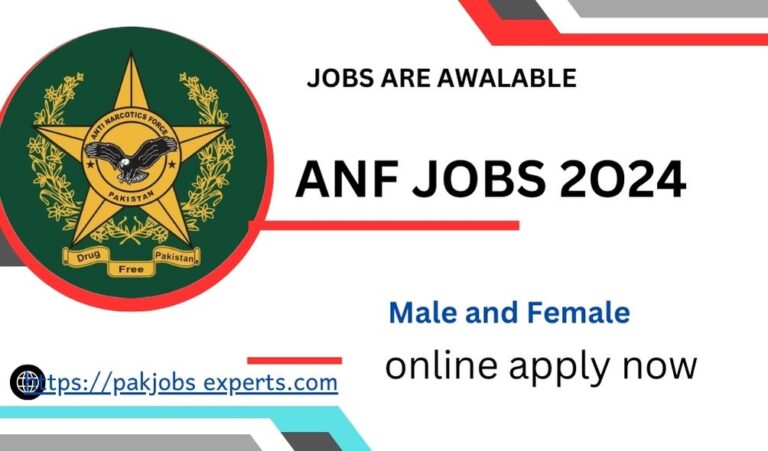 ANF Jobs 2024