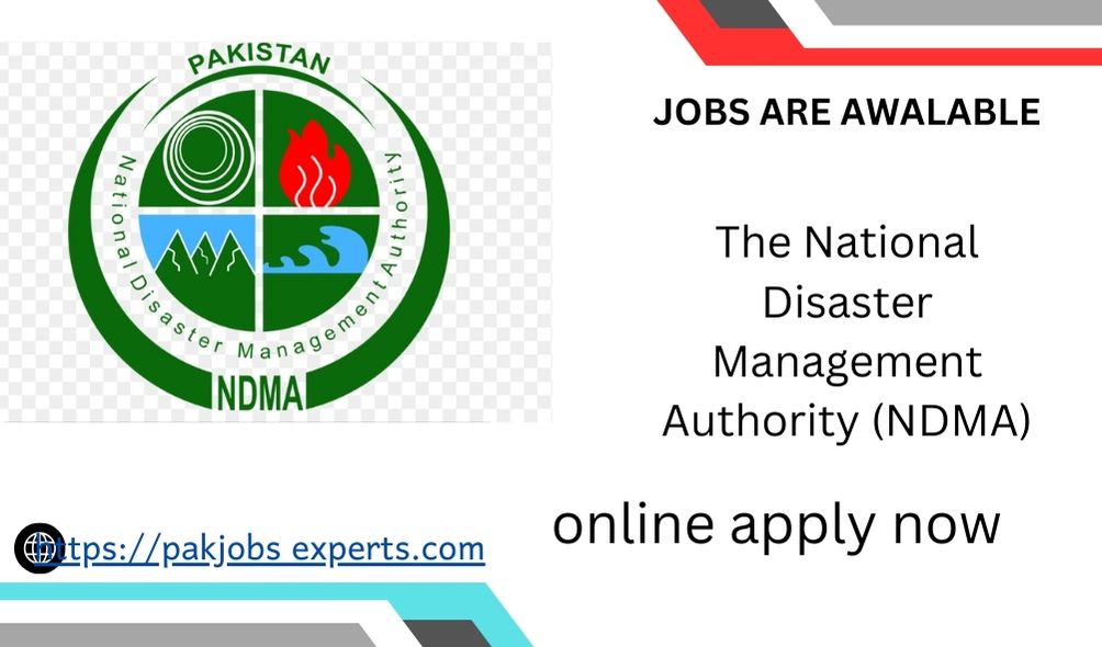 NDMA Jobs 2024