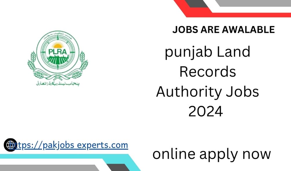 punjab Land Records Authority Jobs 2024